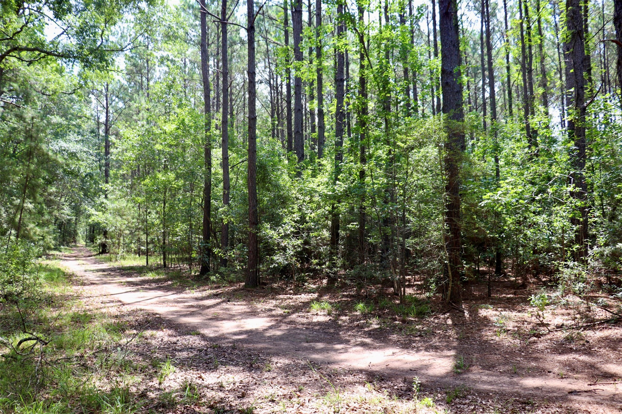 1250 Meekins Road Cleveland, TX 77328 - Photo 31 of 44