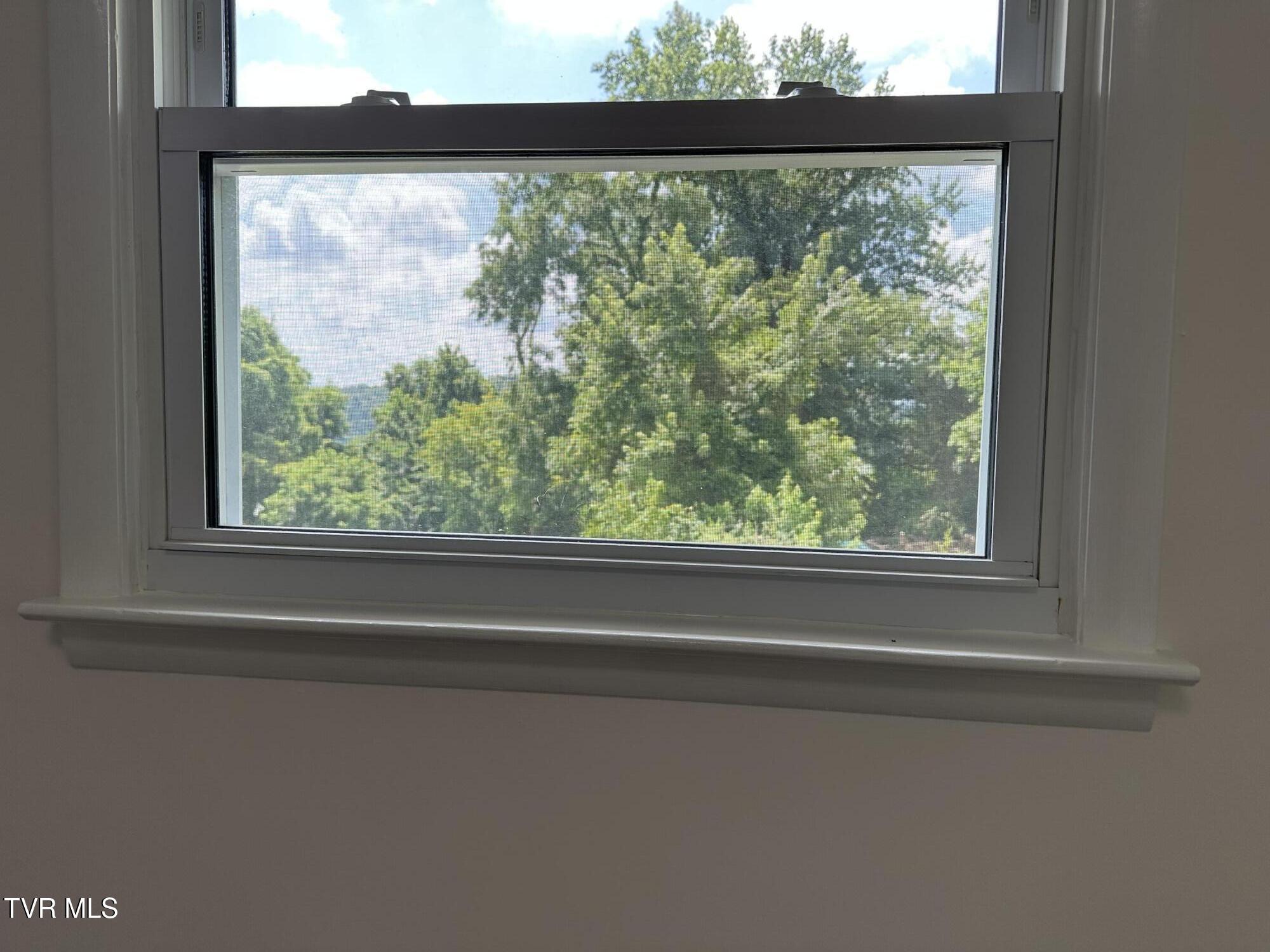 4617 Old Stage Road Kingsport, TN 37664 - Photo 35 of 122 2nd bedroom window view