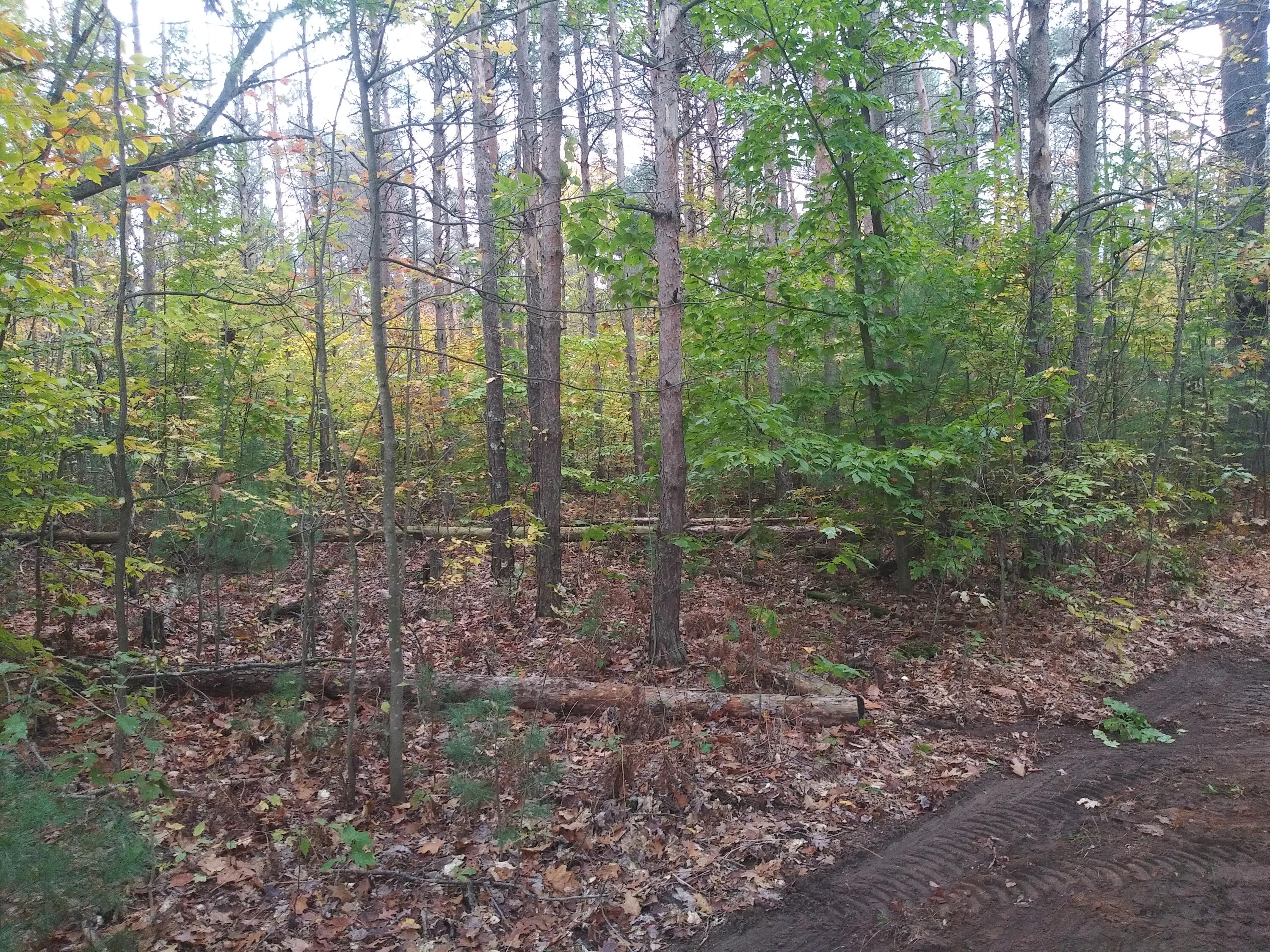 6473 East Gale Road Hesperia, MI 49421 - Photo 2 of 6 5323