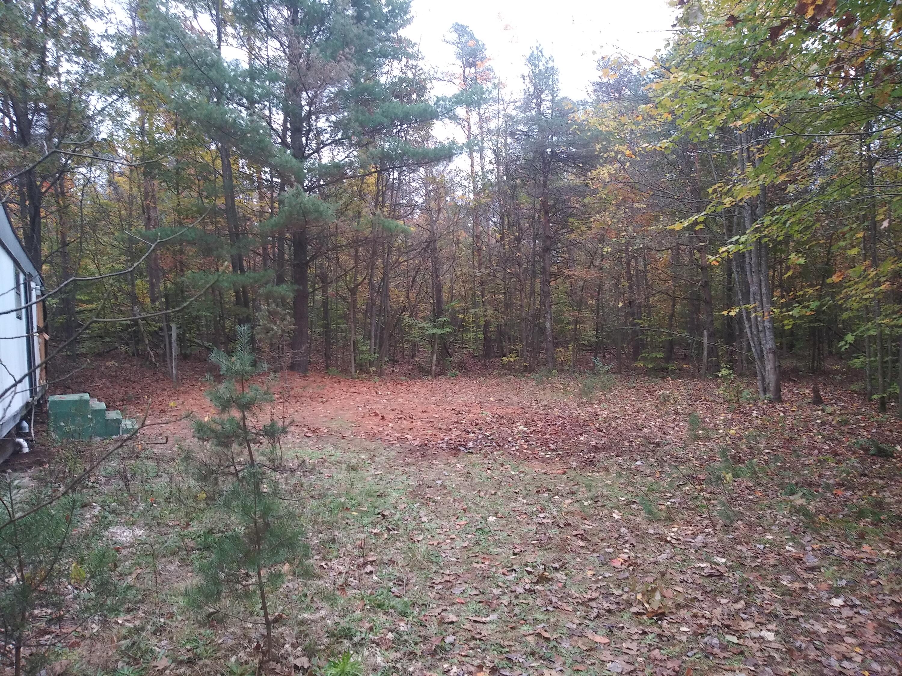 6473 East Gale Road Hesperia, MI 49421 - Photo 6 of 6 5328