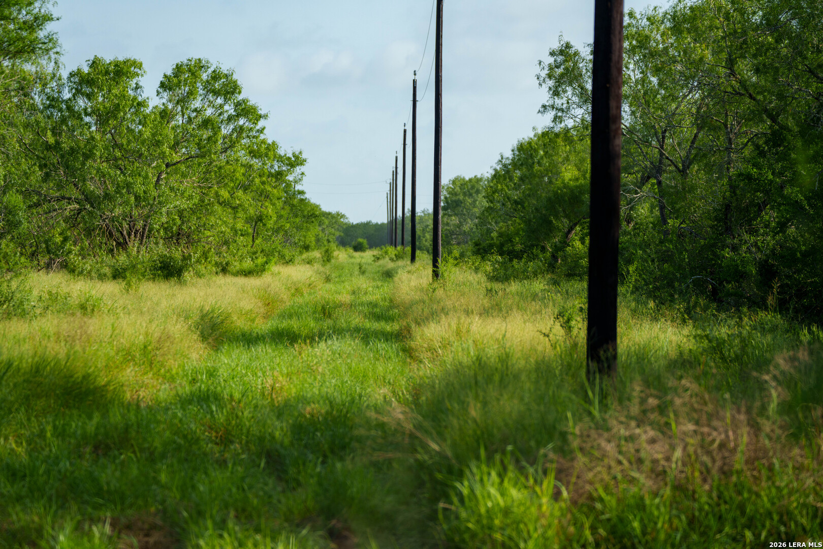 0 Cr 241 Three Rivers, TX 78071 - Photo 7 of 19