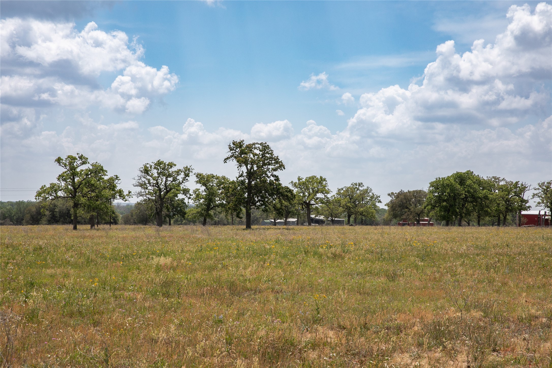 4254 FM 180 Road Ledbetter, TX 78946 - Photo 16 of 18 a view of a field with trees in the background