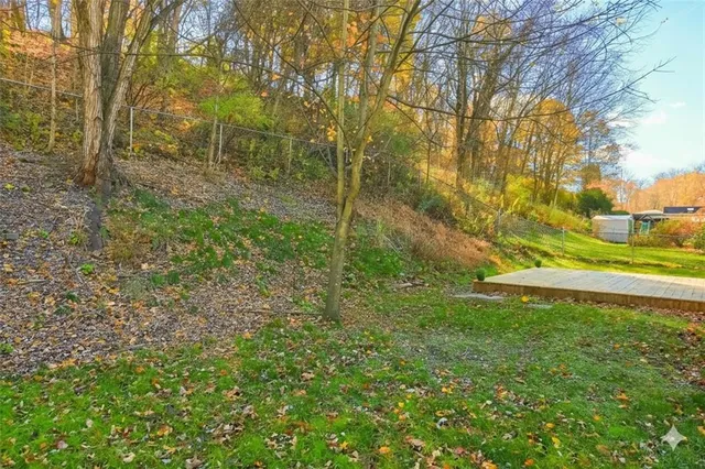 a view of a field with trees