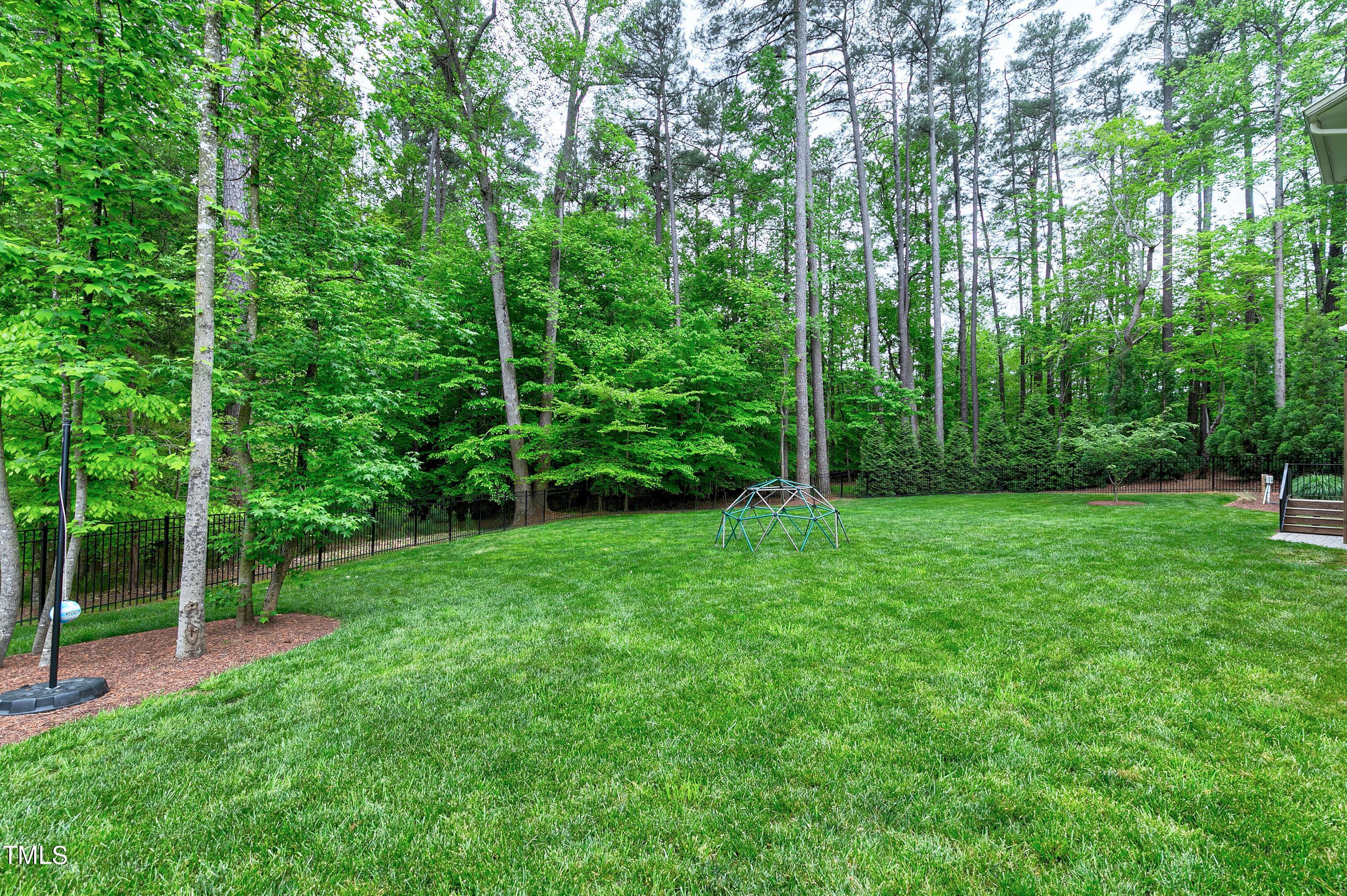 1109 Easterly Court Raleigh, NC 27615 - Photo 73 of 87 73-Scene-73