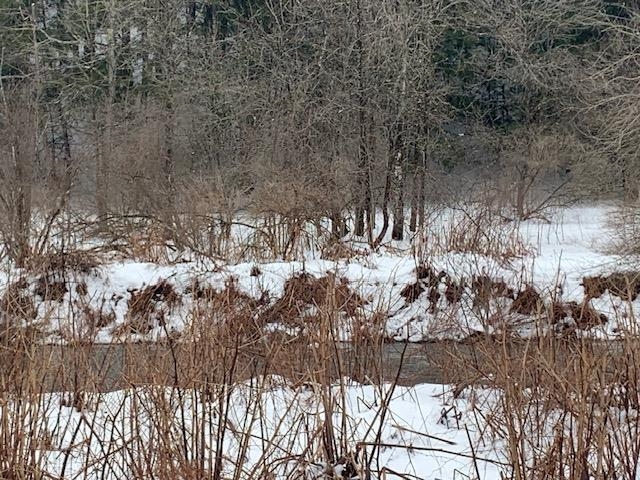 0 Lovejoy Road South Royalton, VT 05068 - Photo 11 of 19 Gallery Image 11