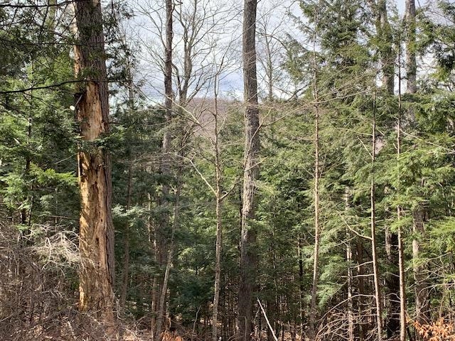 0 Lovejoy Road South Royalton, VT 05068 - Photo 13 of 19 Gallery Image 13