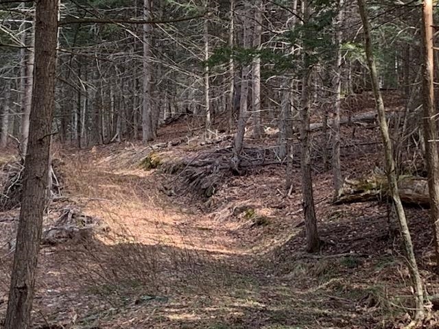 0 Lovejoy Road South Royalton, VT 05068 - Photo 5 of 19 Gallery Image 5