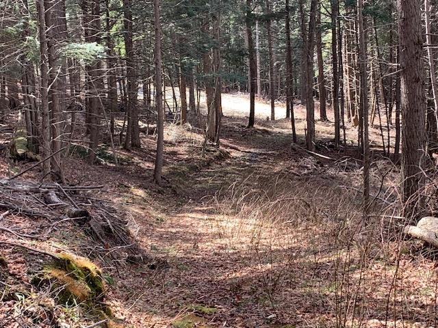 0 Lovejoy Road South Royalton, VT 05068 - Photo 8 of 19 Gallery Image 8
