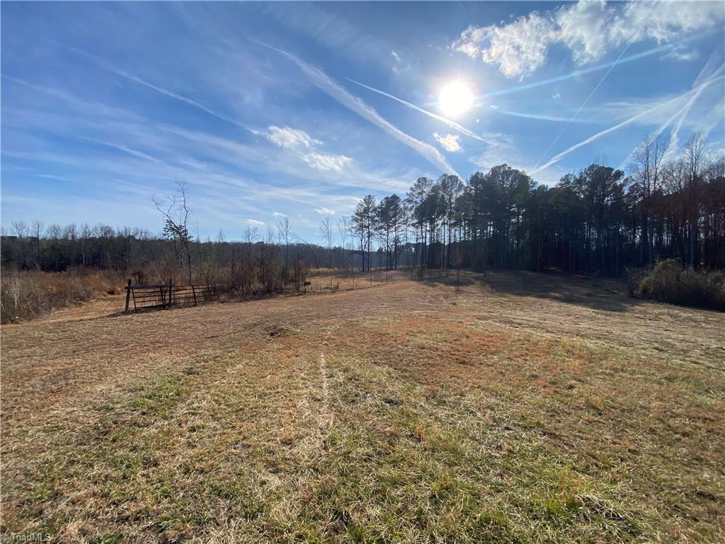 0 Johnny Shaw Road Moncure, NC 27559 - Photo 2 of 10