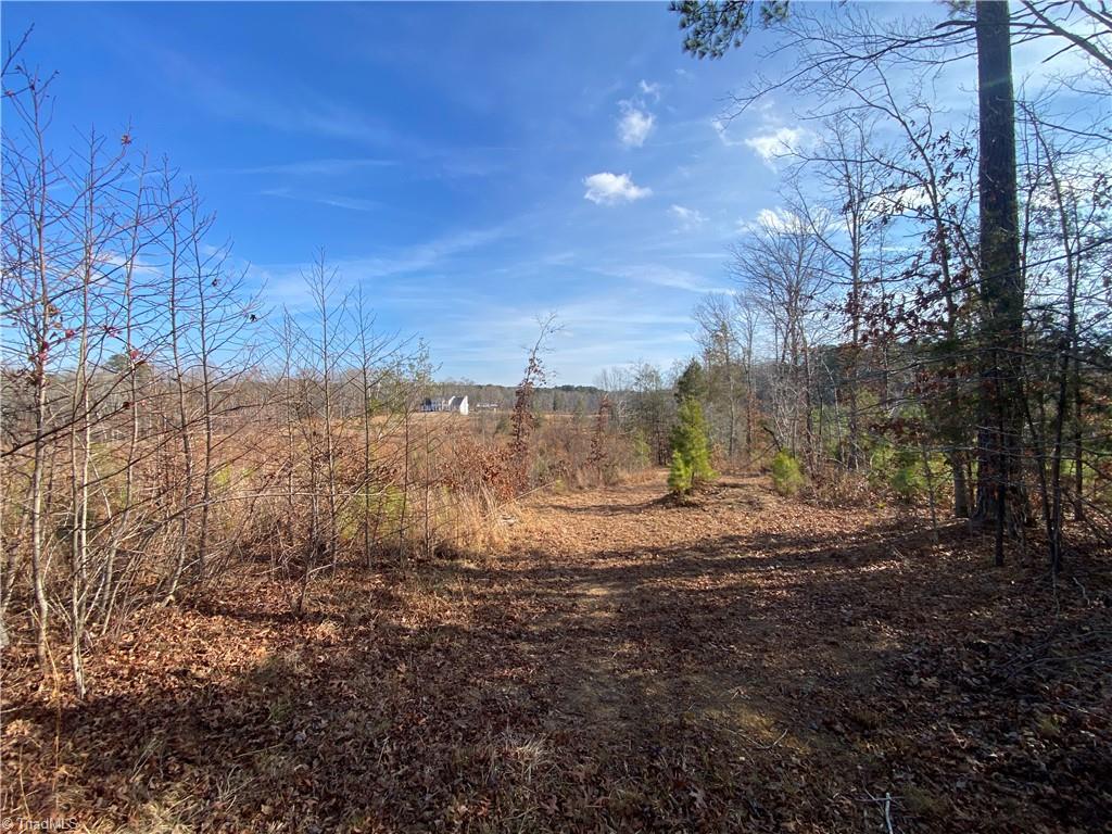 0 Johnny Shaw Road Moncure, NC 27559 - Photo 3 of 5