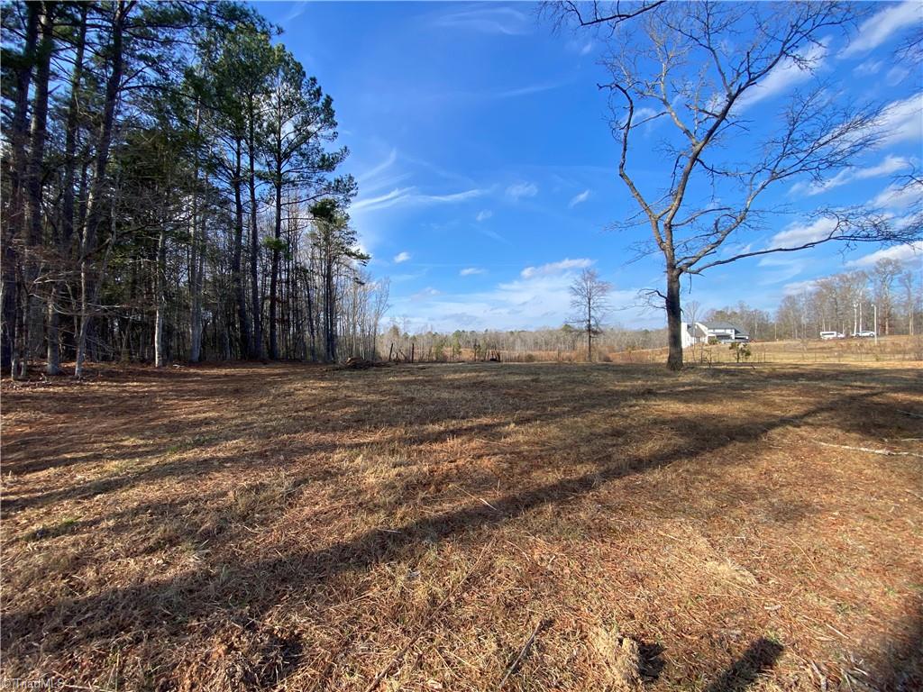 0 Johnny Shaw Road Moncure, NC 27559 - Photo 5 of 5