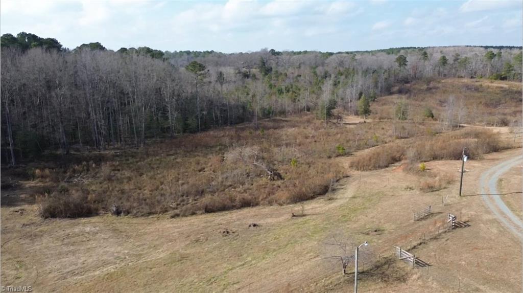 0 Johnny Shaw Road Moncure, NC 27559 - Photo 8 of 10