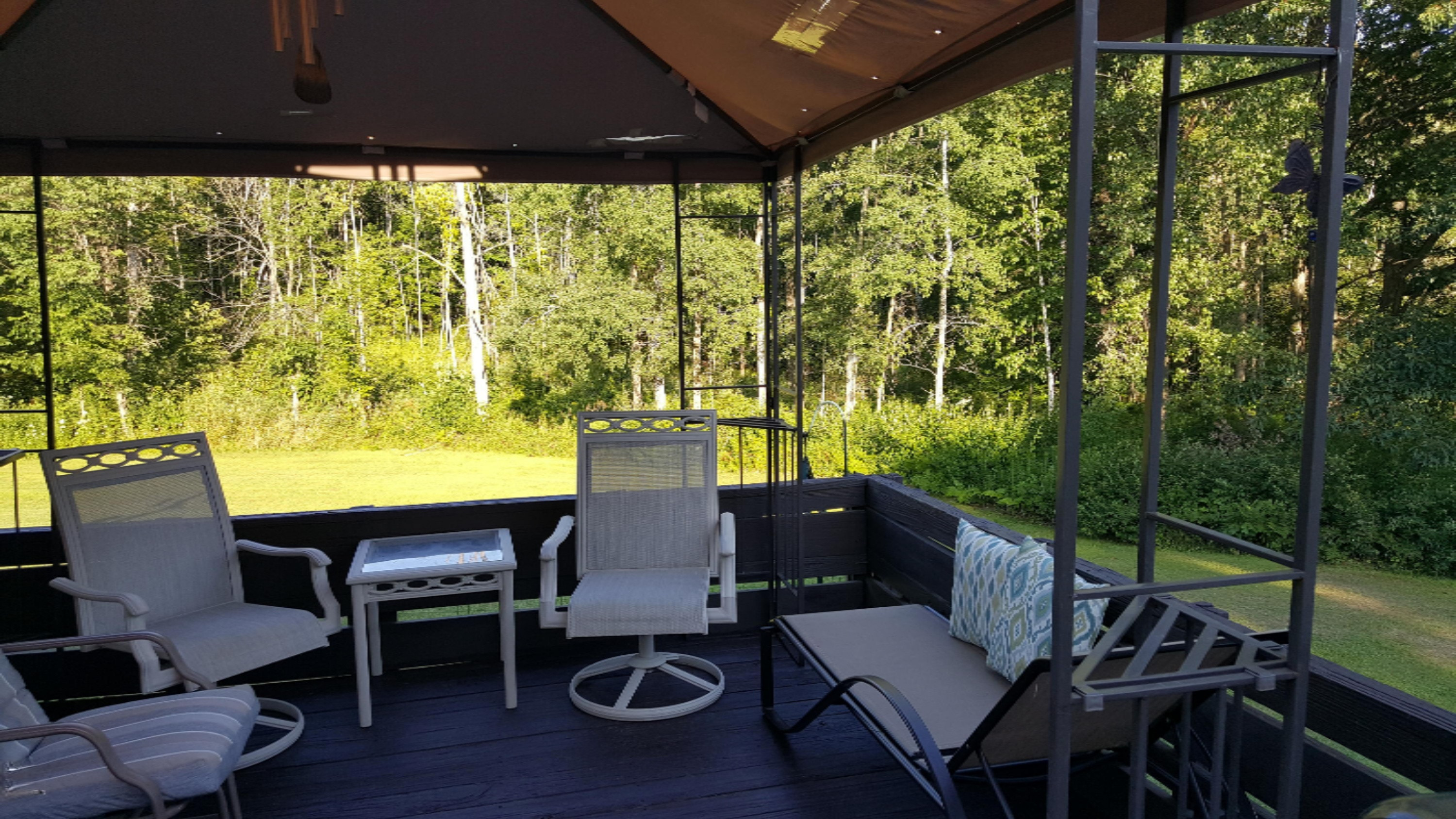10 East Pakes Road Stanton, MI 48888 - Photo 35 of 61 20190808_184812 (1)