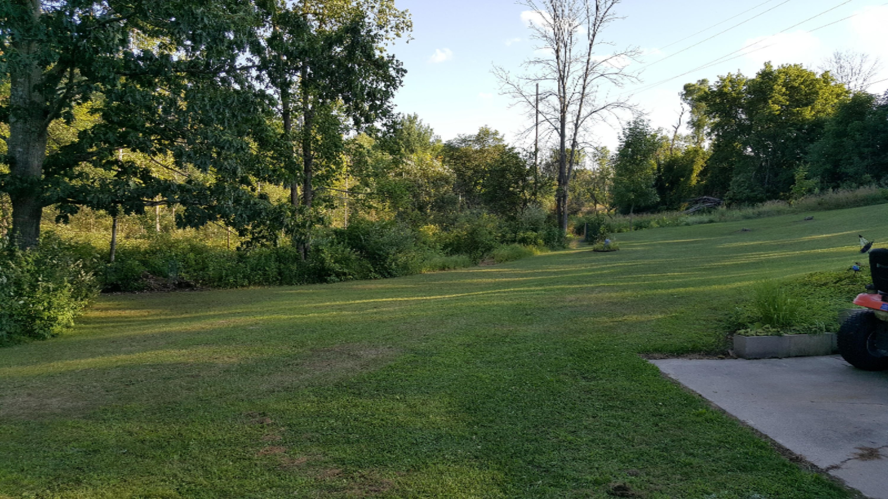 10 East Pakes Road Stanton, MI 48888 - Photo 36 of 61 20190808_190121