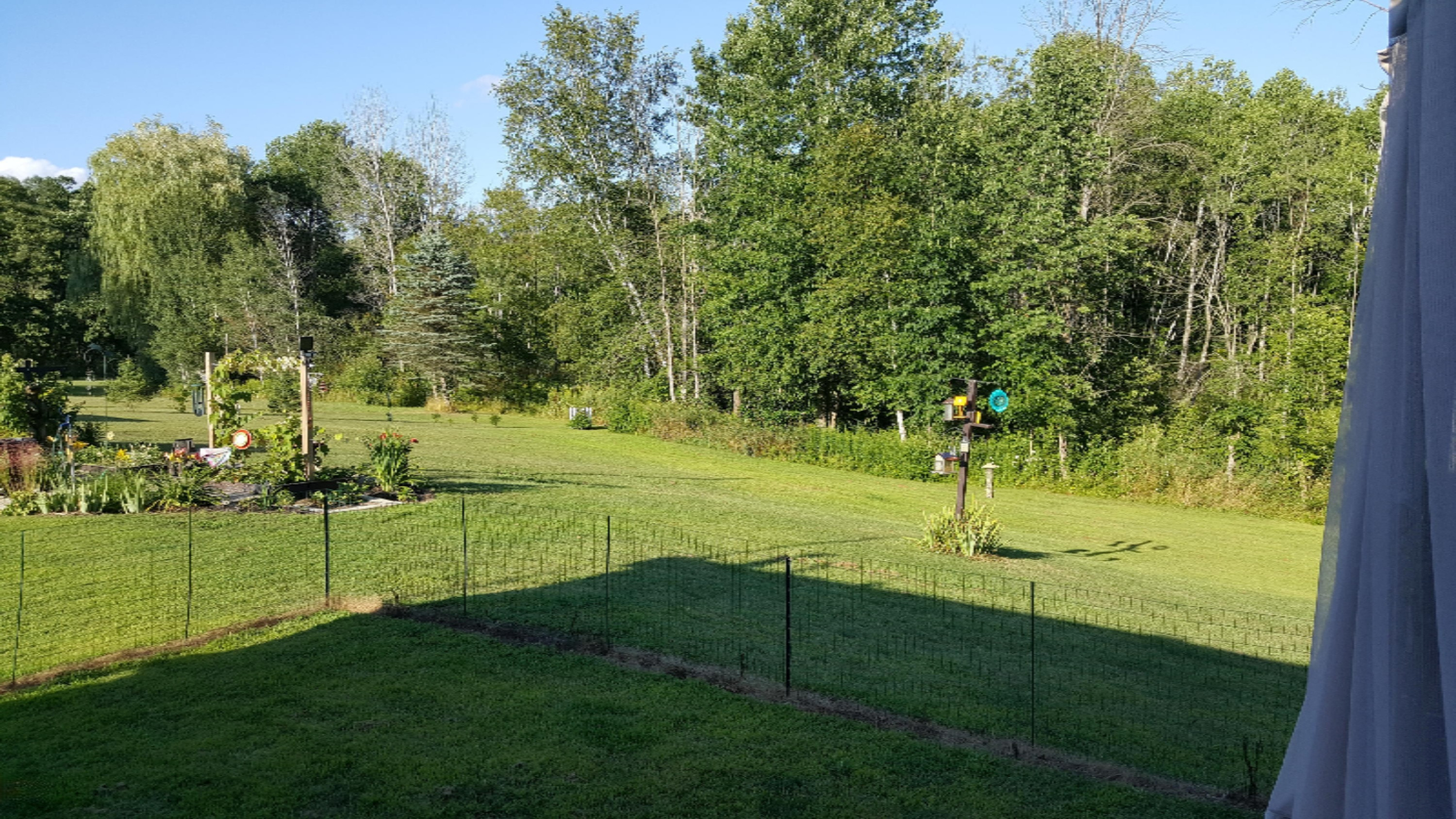 10 East Pakes Road Stanton, MI 48888 - Photo 41 of 61 20190808_184831