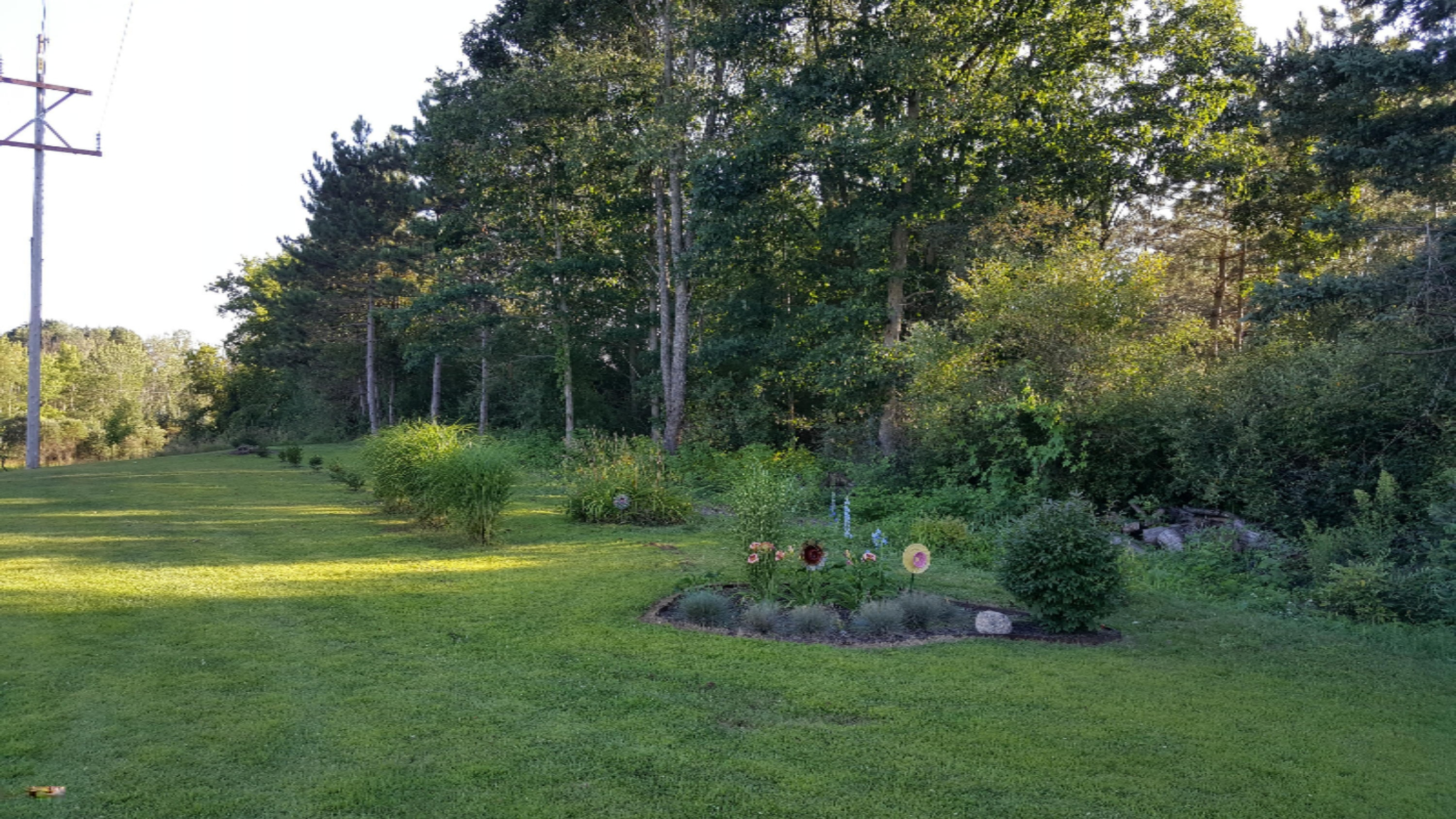 10 East Pakes Road Stanton, MI 48888 - Photo 49 of 61 20190808_190823