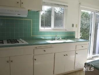 11 Chestnut Avenue San Rafael, CA 94901 - Photo 9 of 13