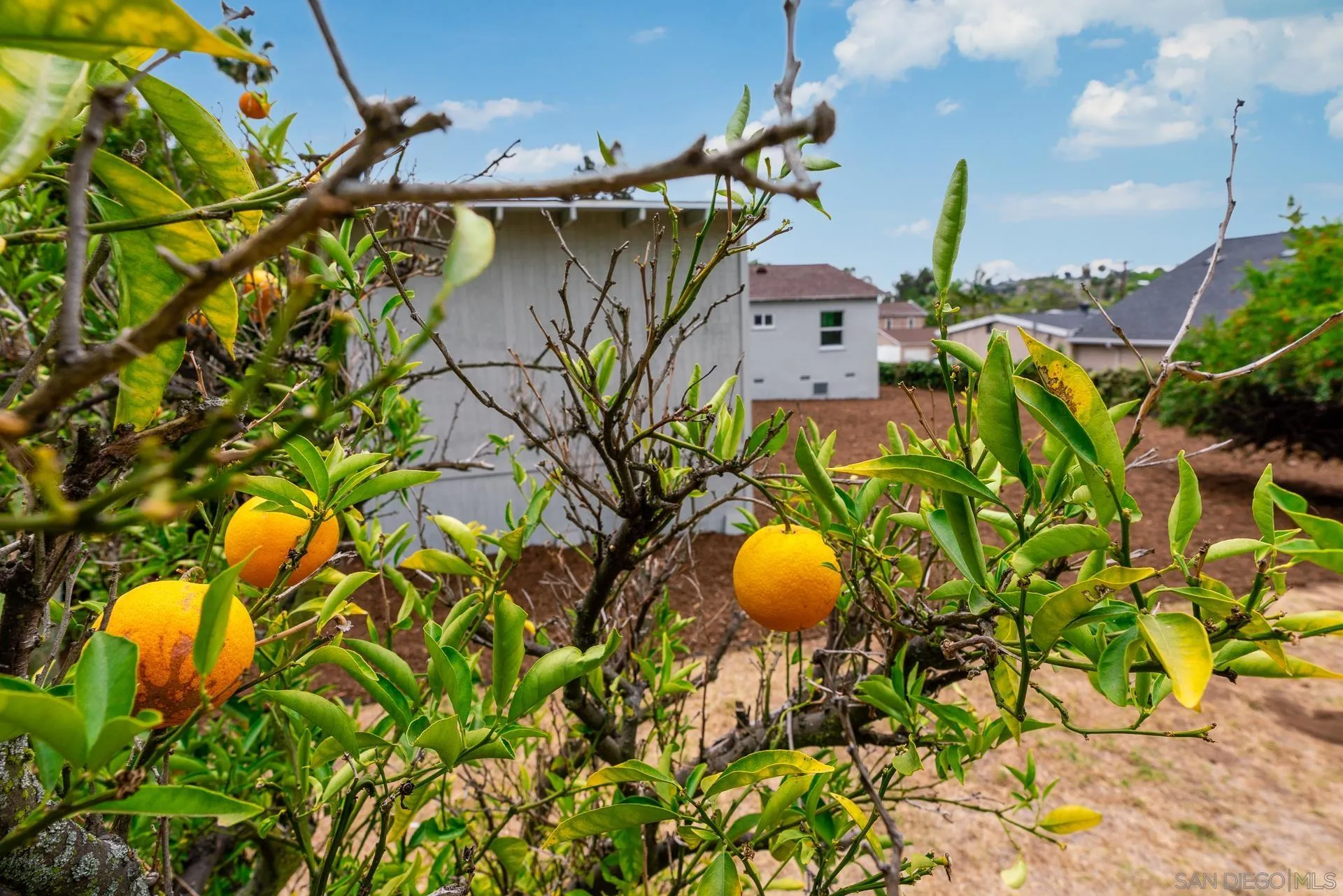 9208 Brookside Circle Spring Valley, CA 91977 - Photo 31 of 31 a view of a house with a backyard and a garden