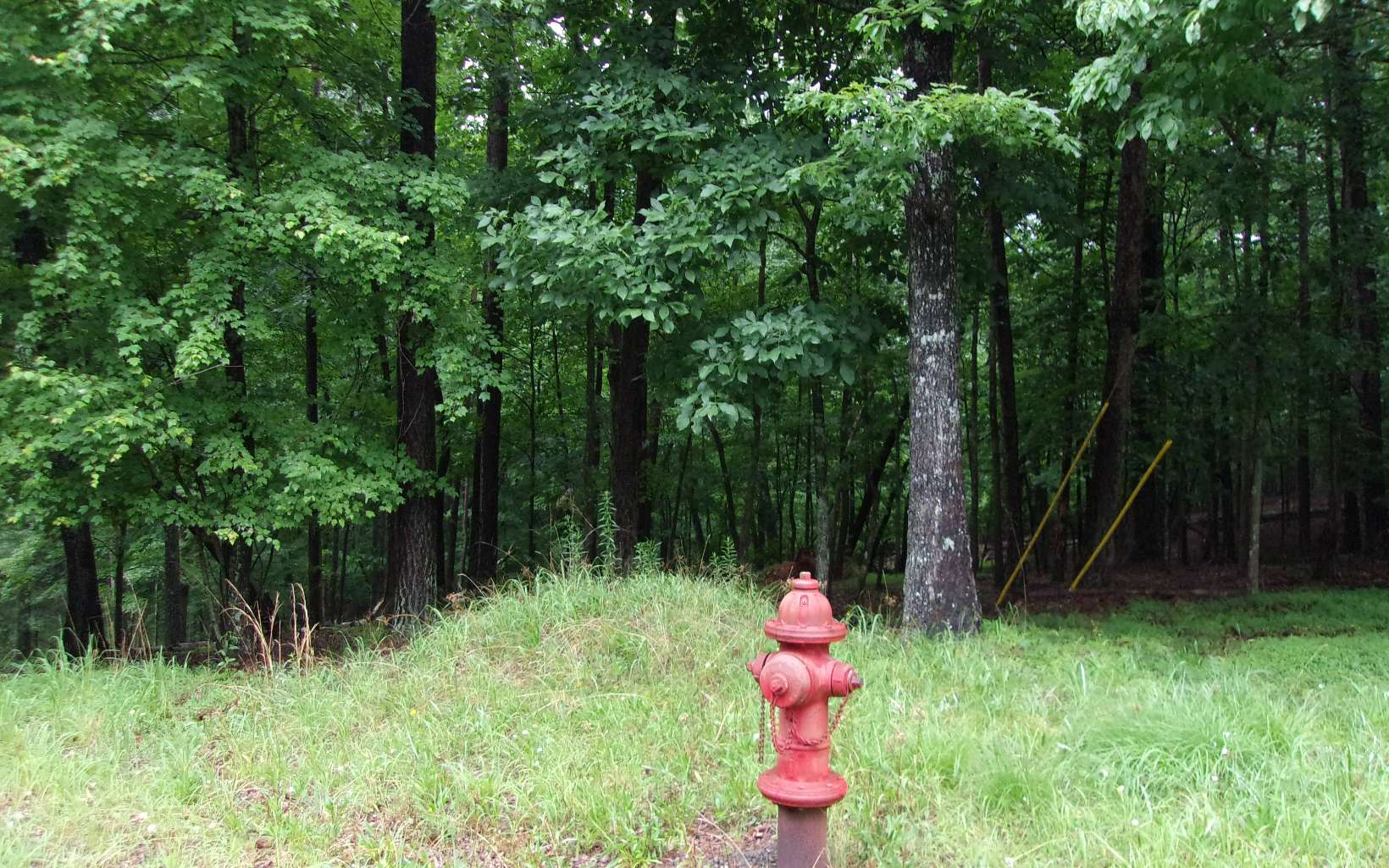 Lt476 Rivoli Court Ellijay, GA 30540 - Photo 4 of 4 Additional View