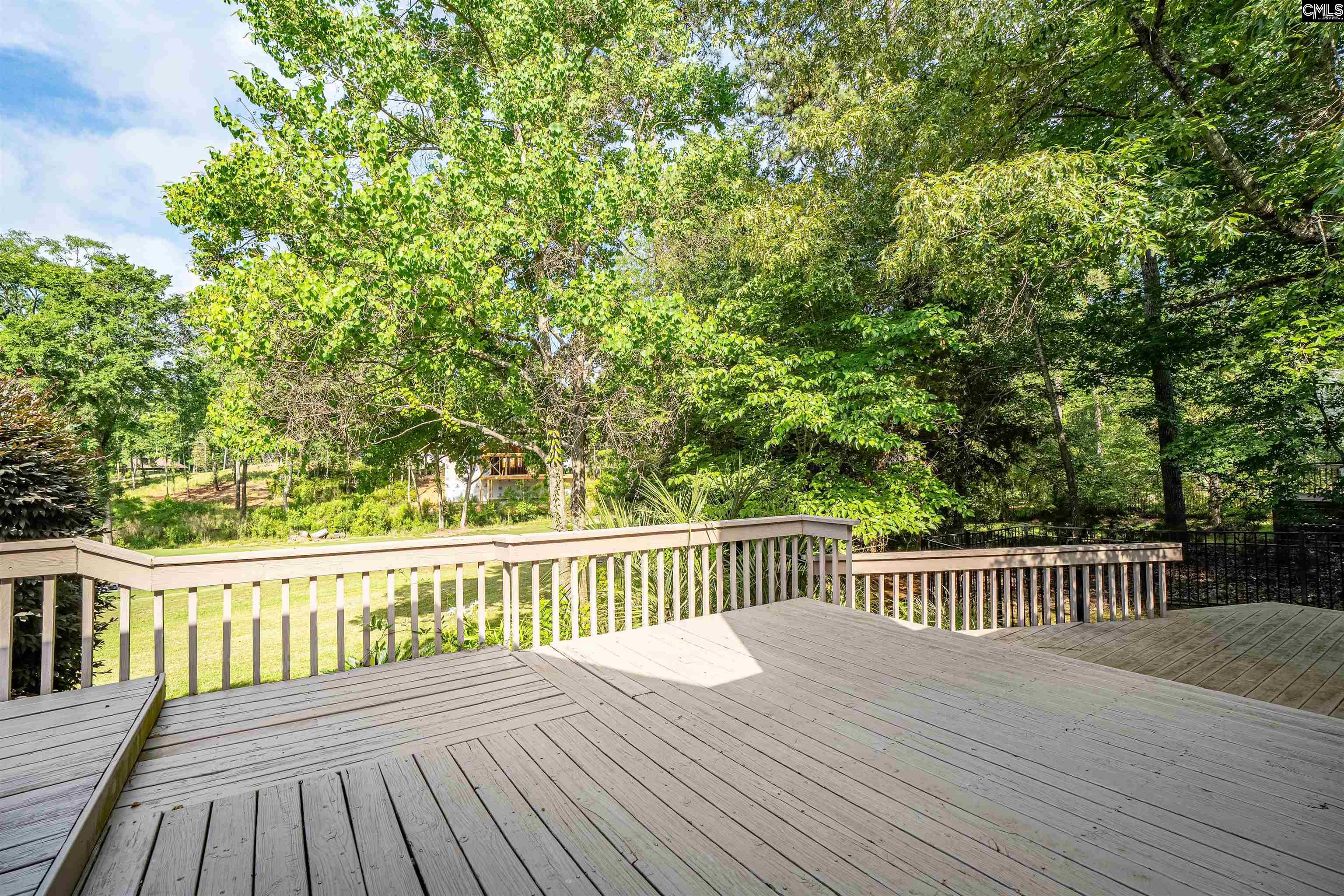 573 Wateroak Trail Chapin, SC 29036 - Photo 39 of 60