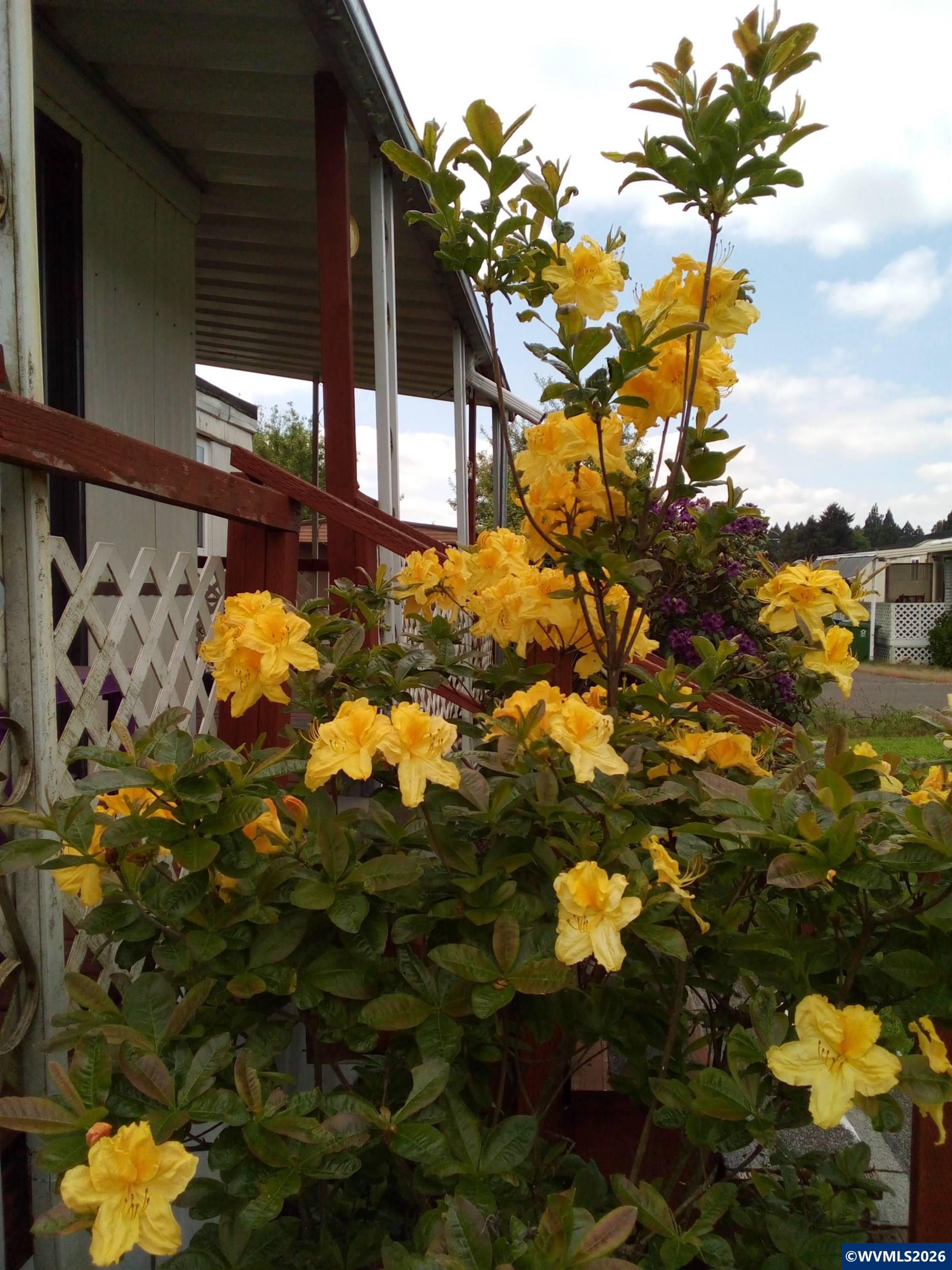 340 Northeast Crest Street, Unit 49 Sublimity, OR 97385 - Photo 4 of 14