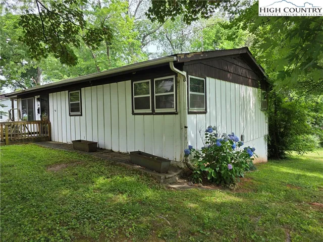 a view of a backyard with potted plants and a large tree