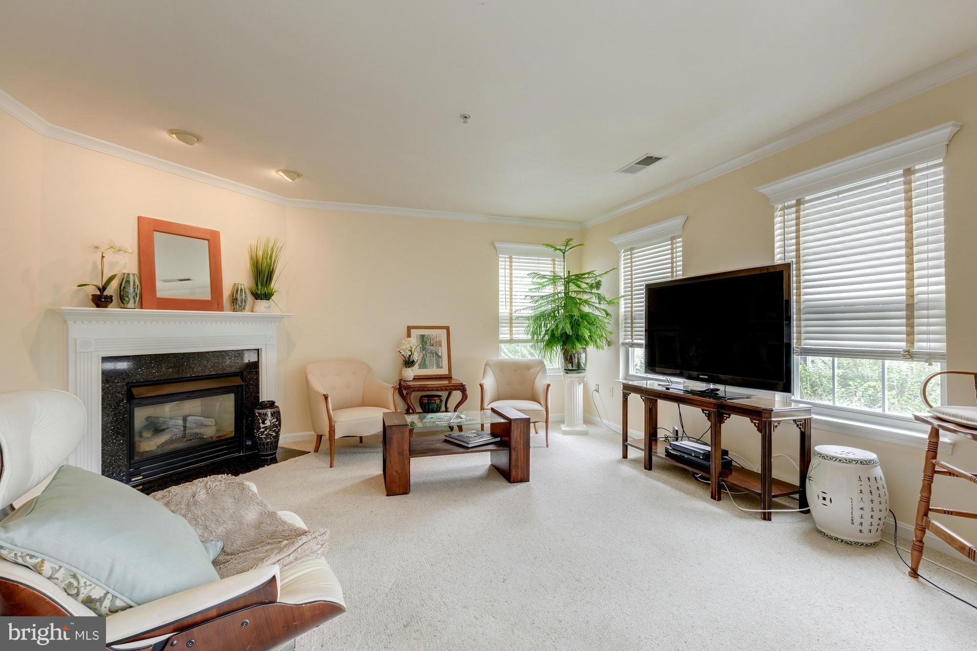 11874 Breton Court, Unit 12B Reston, VA 20191 - Photo 11 of 23 Living Room