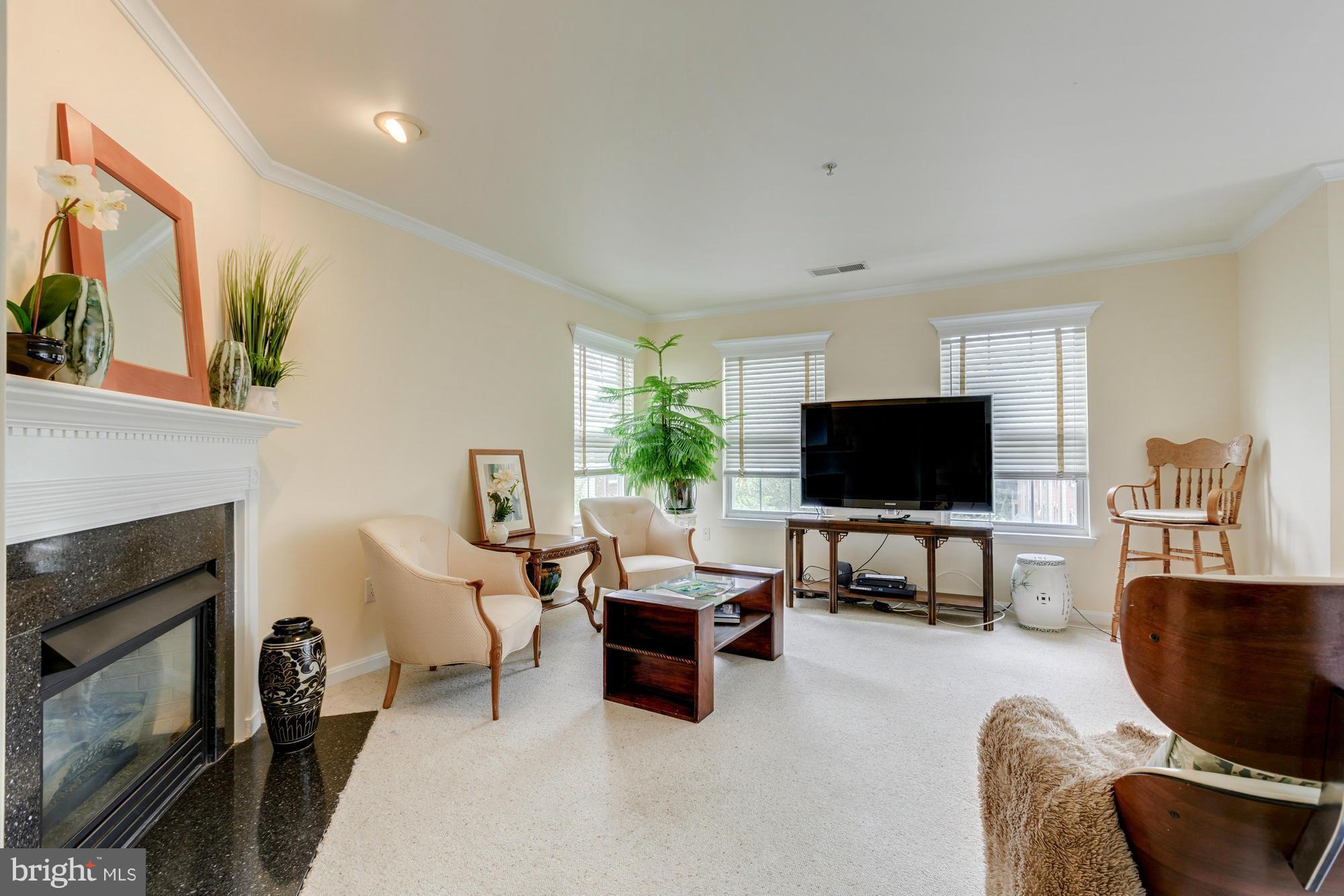 11874 Breton Court, Unit 12B Reston, VA 20191 - Photo 12 of 23 Living Room