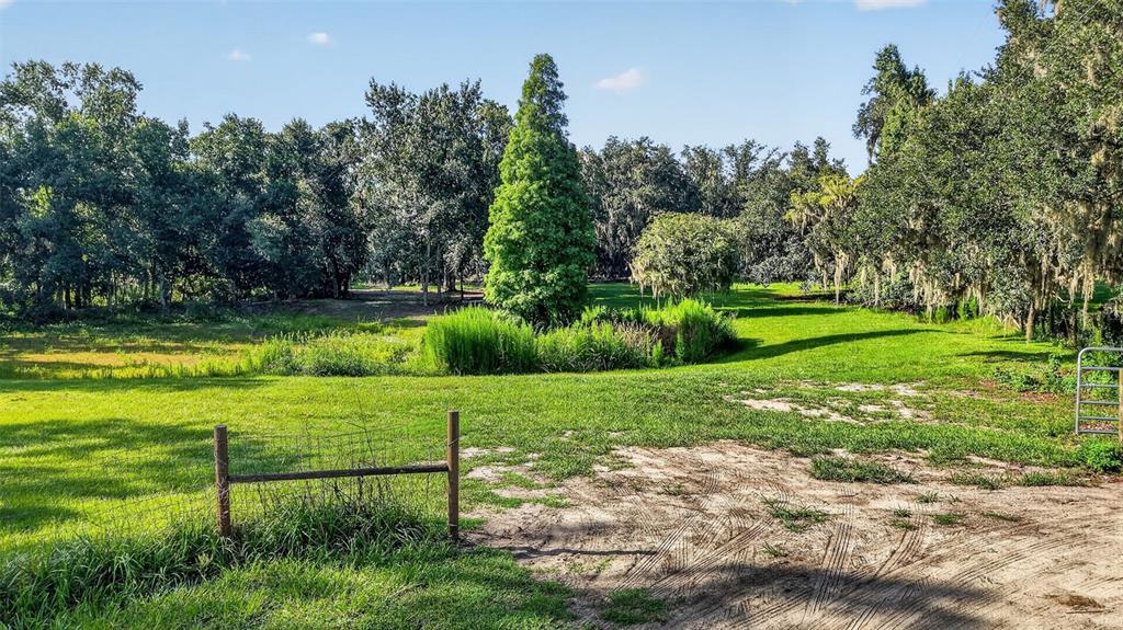 8922 Pritcher Road Lithia, FL 33547 - Photo 68 of 73