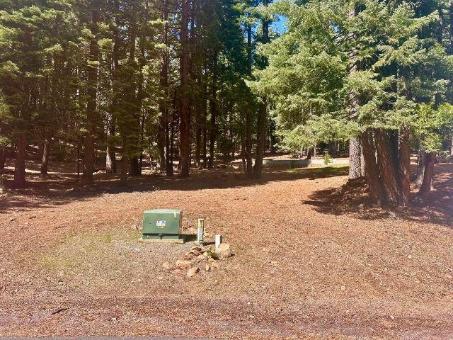 661 East Mountain Ridge Road, Unit 18 Lake Almanor, CA 96137 - Photo 4 of 4