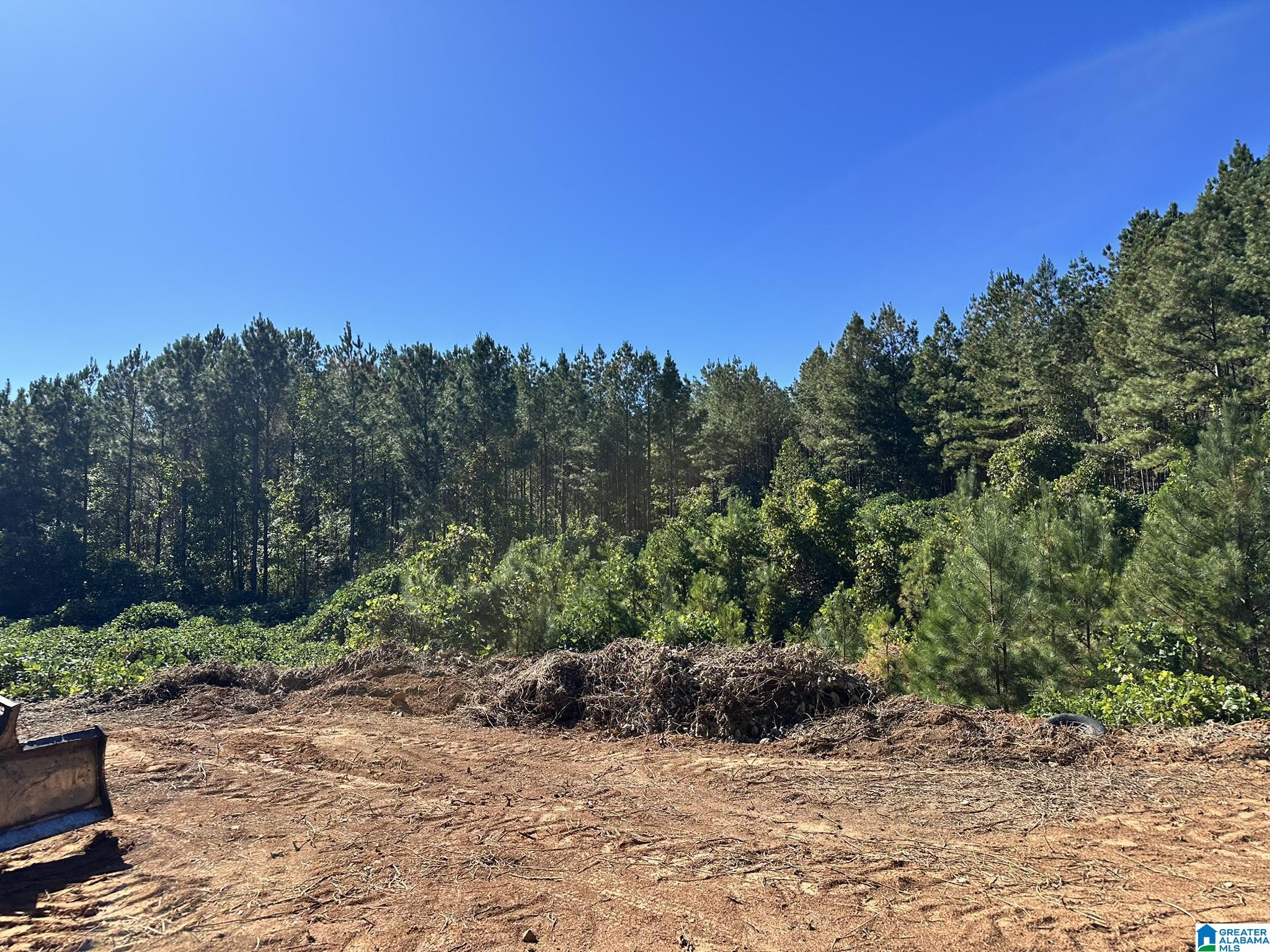 0 Rabbittown Road Piedmont, AL 36272 - Photo 4 of 7