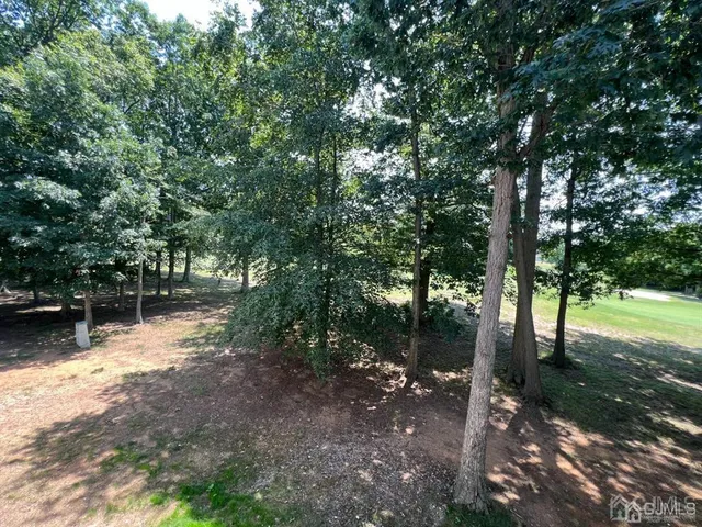 a view of a forest filled with trees