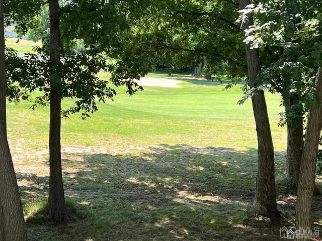 a view of a city from a yard