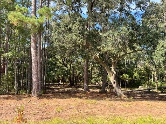 152 Vinson Road Bluffton, SC 29910 - Photo 3 of 5