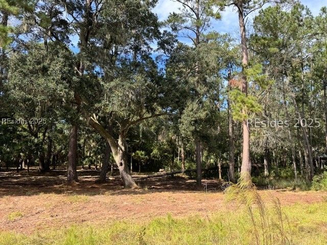 152 Vinson Road Bluffton, SC 29910 - Photo 4 of 5