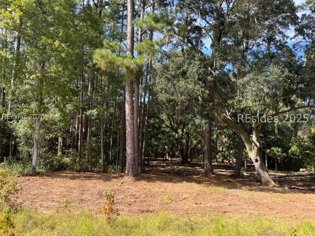 152 Vinson Road Bluffton, SC 29910 - Photo 5 of 5