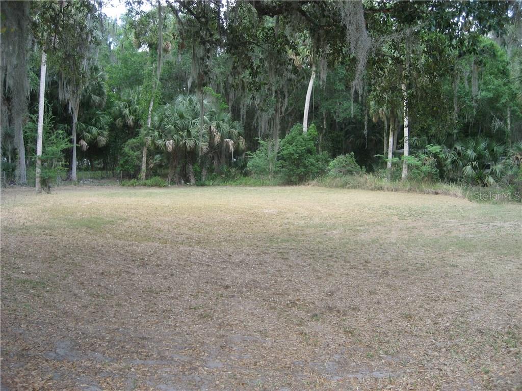 418 County Rd Lake Lake Panasoffkee, FL 33538 - Photo 1 of 1