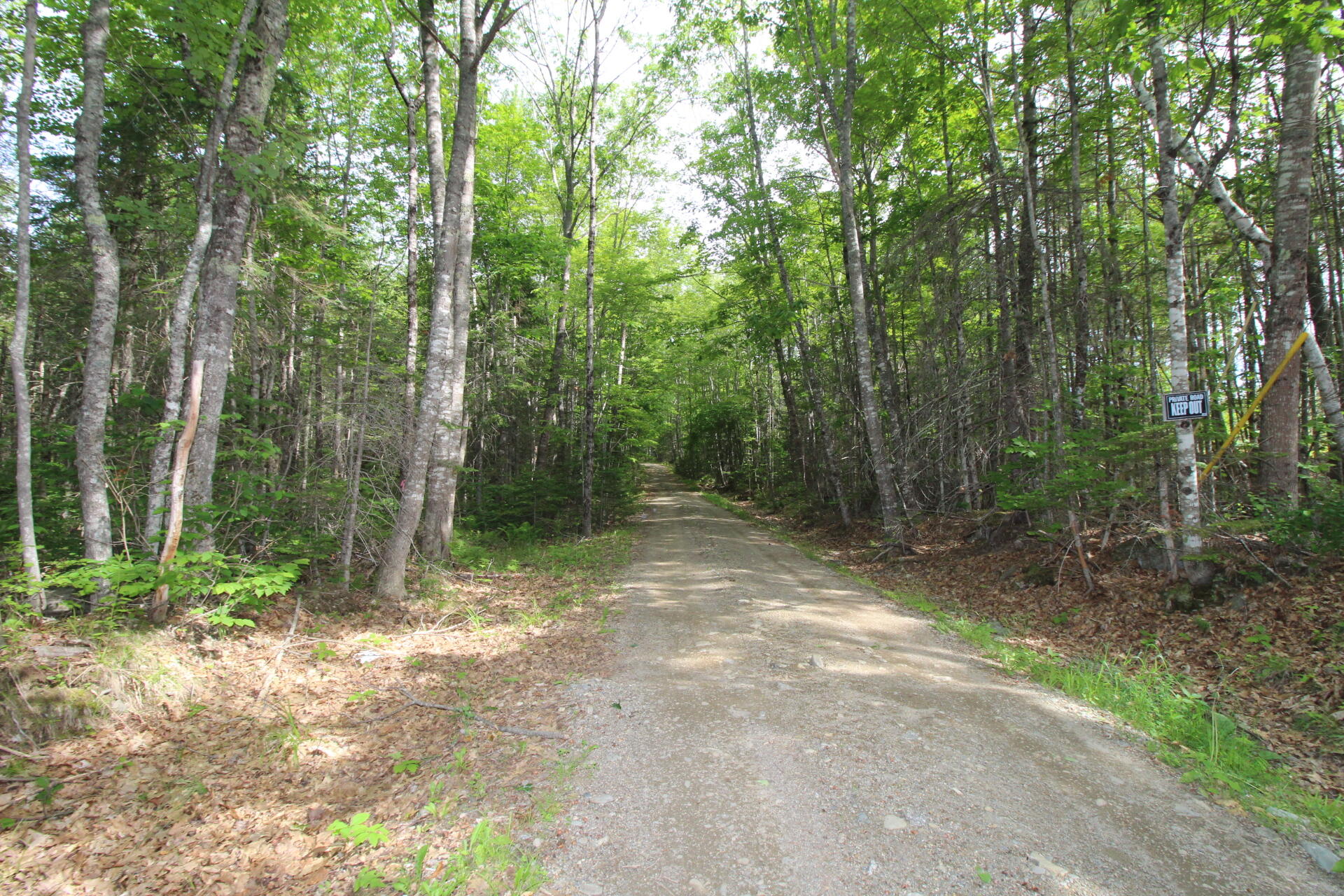 46 West Swanville Road Belfast, ME 04915 - Photo 32 of 33 bryan pat cunningham (26)