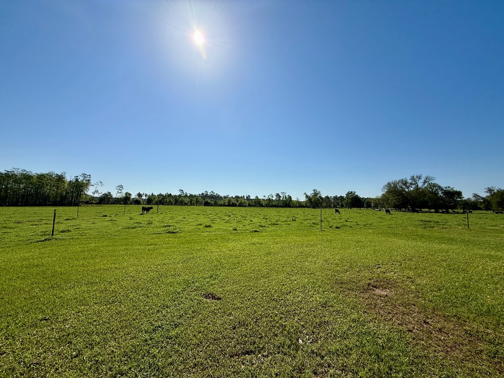 6275 South Springhill Road Gordon, AL 36343 - Photo 33 of 36