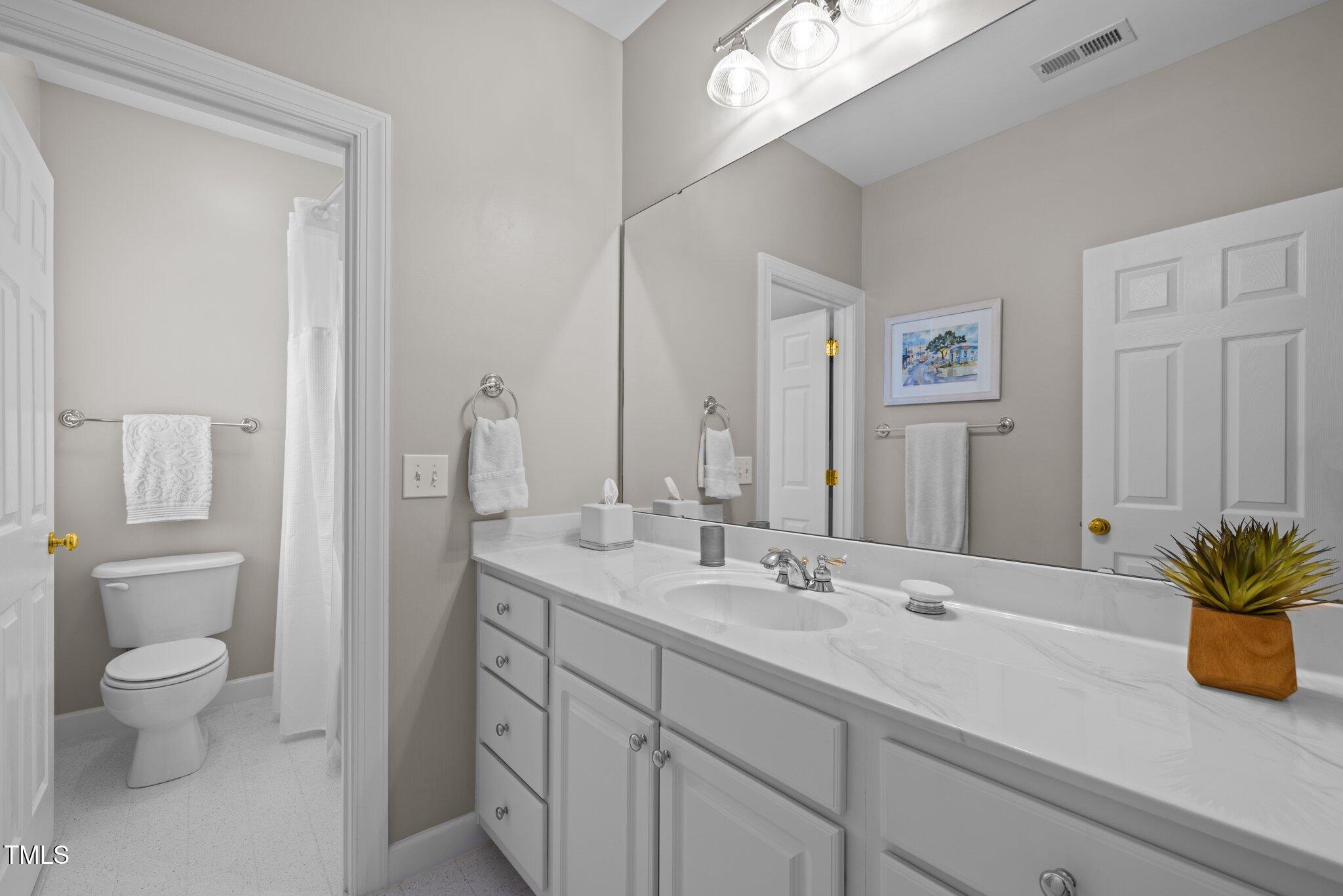 3902 Stags Leap Circle Raleigh, NC 27612 - Photo 30 of 53 a bathroom with a sink a toilet and mirror