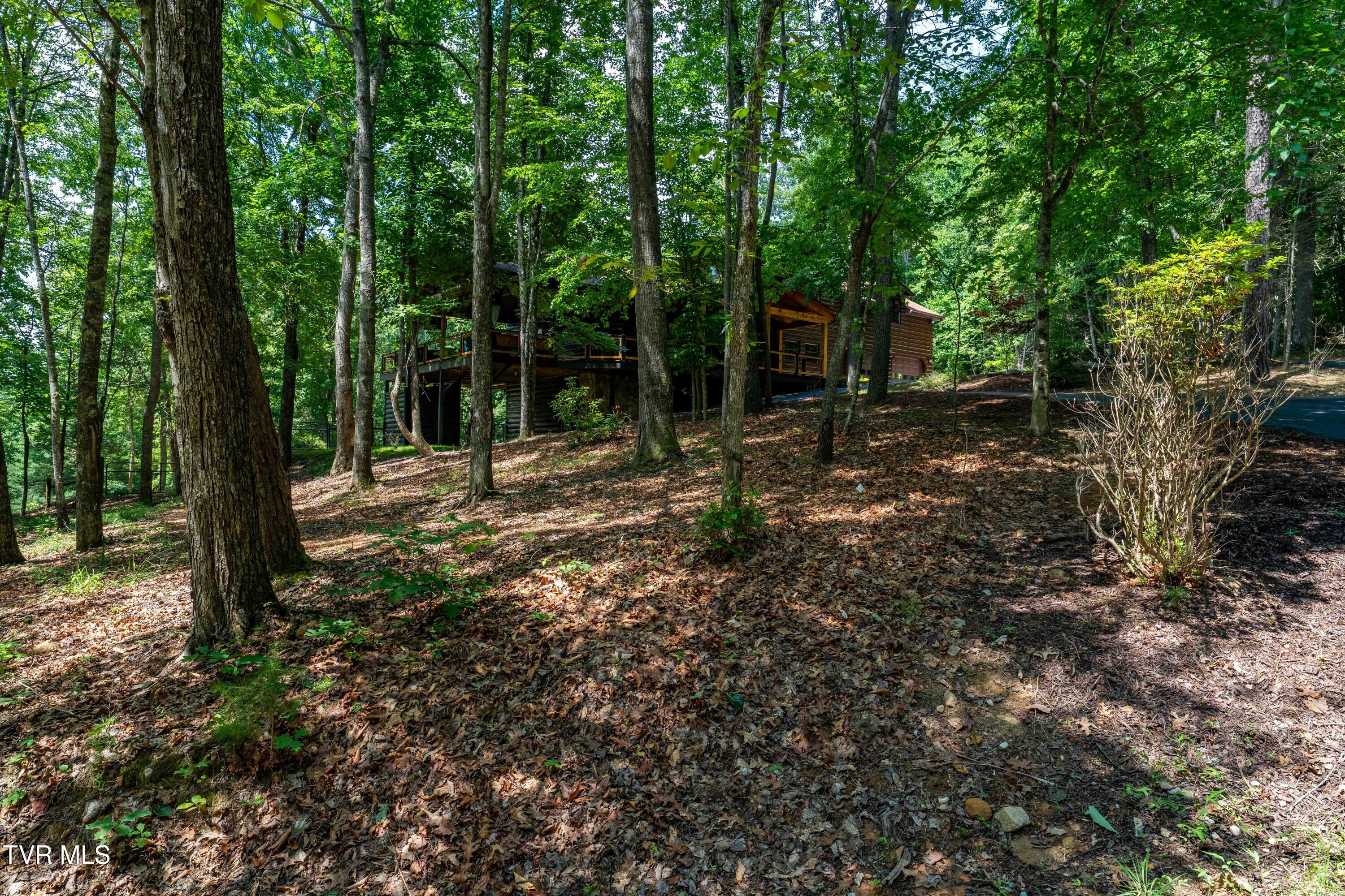 191 Bear Ridge Drive Butler, TN 37640 - Photo 41 of 80 191 Bear Ridge Dr (1 of 80)