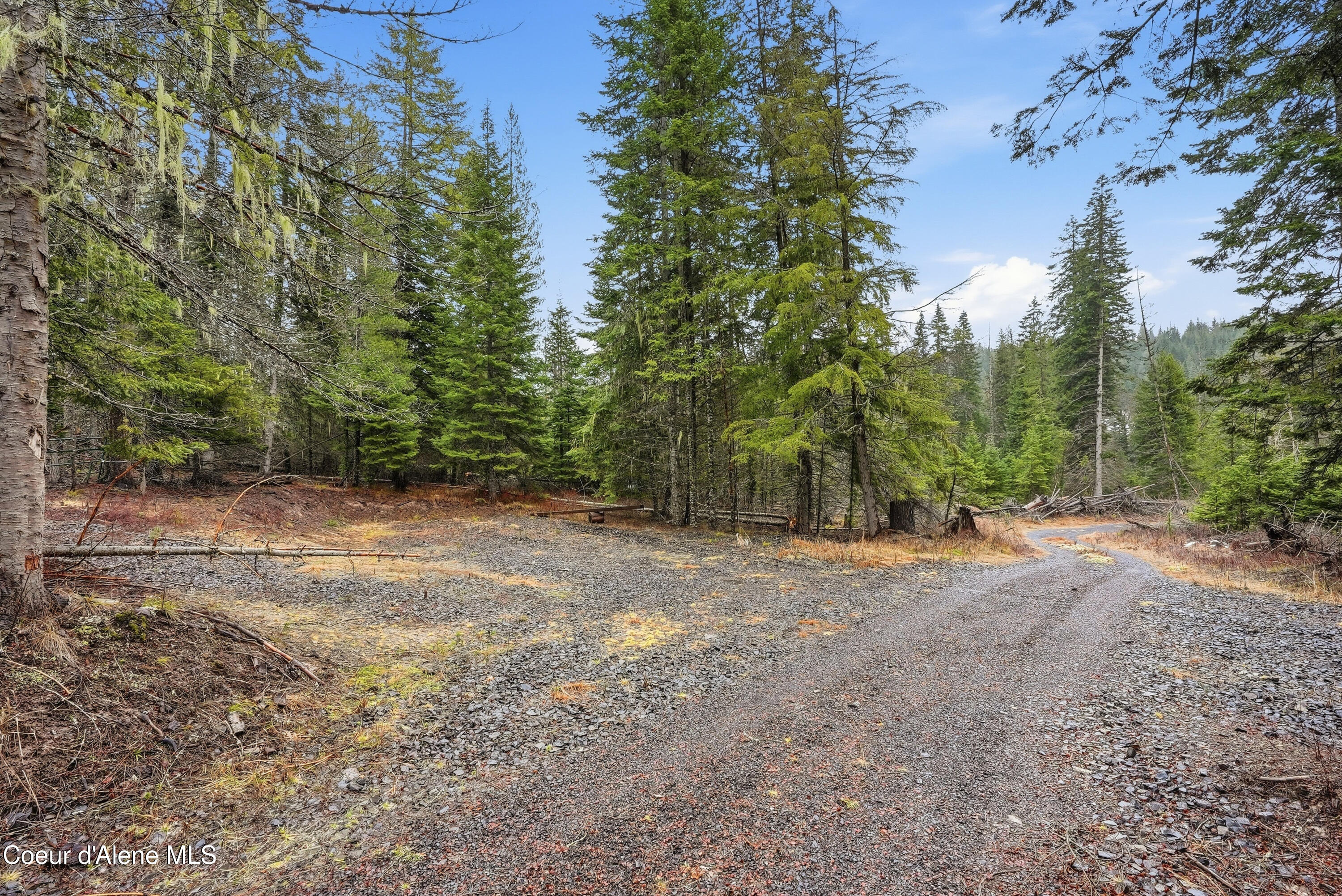 1428 West Elkhorn Meadows Road Fernwood, ID 83830 - Photo 25 of 33 Inside-Media-Elkhorn-22