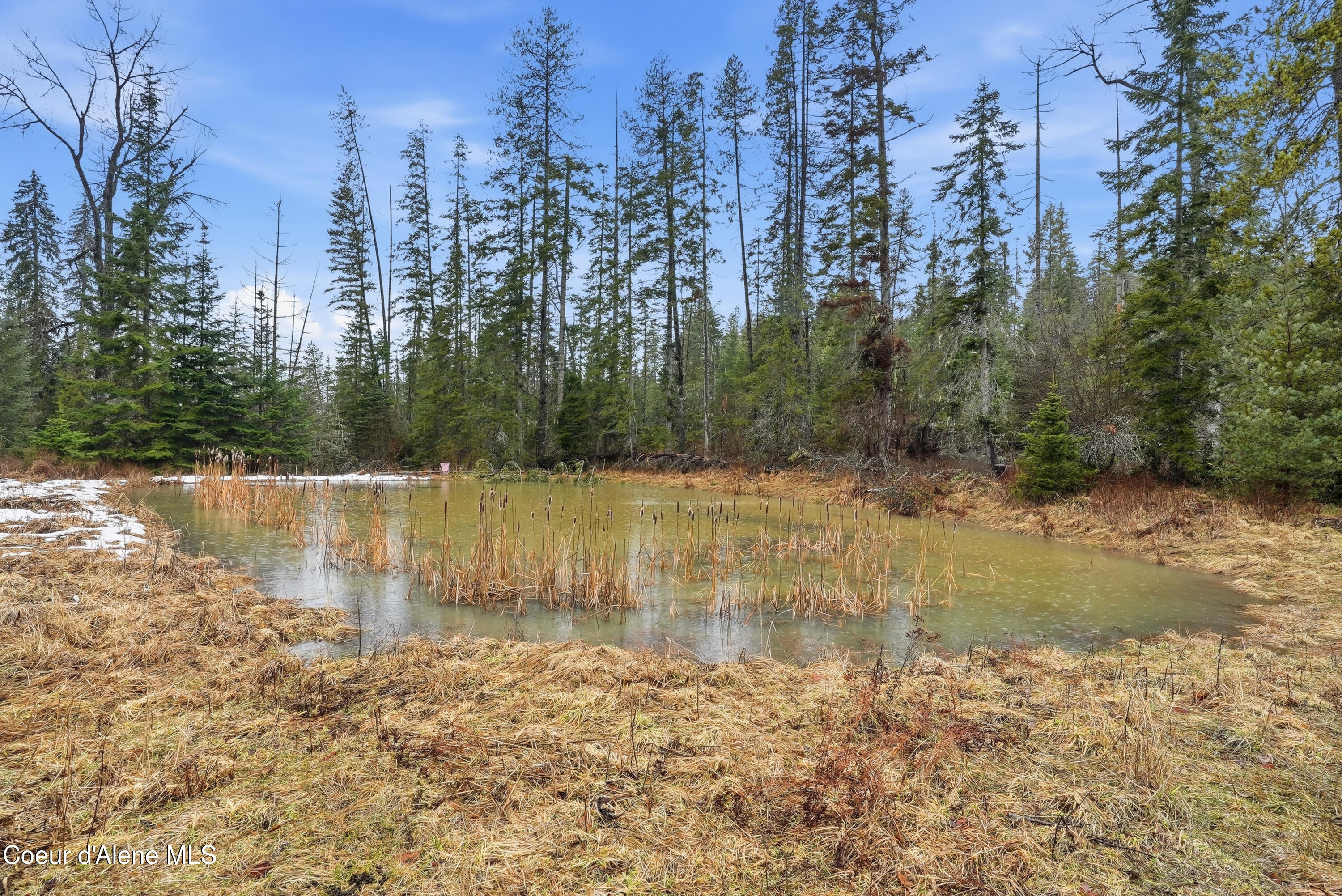1428 West Elkhorn Meadows Road Fernwood, ID 83830 - Photo 26 of 33 Inside-Media-Elkhorn-23