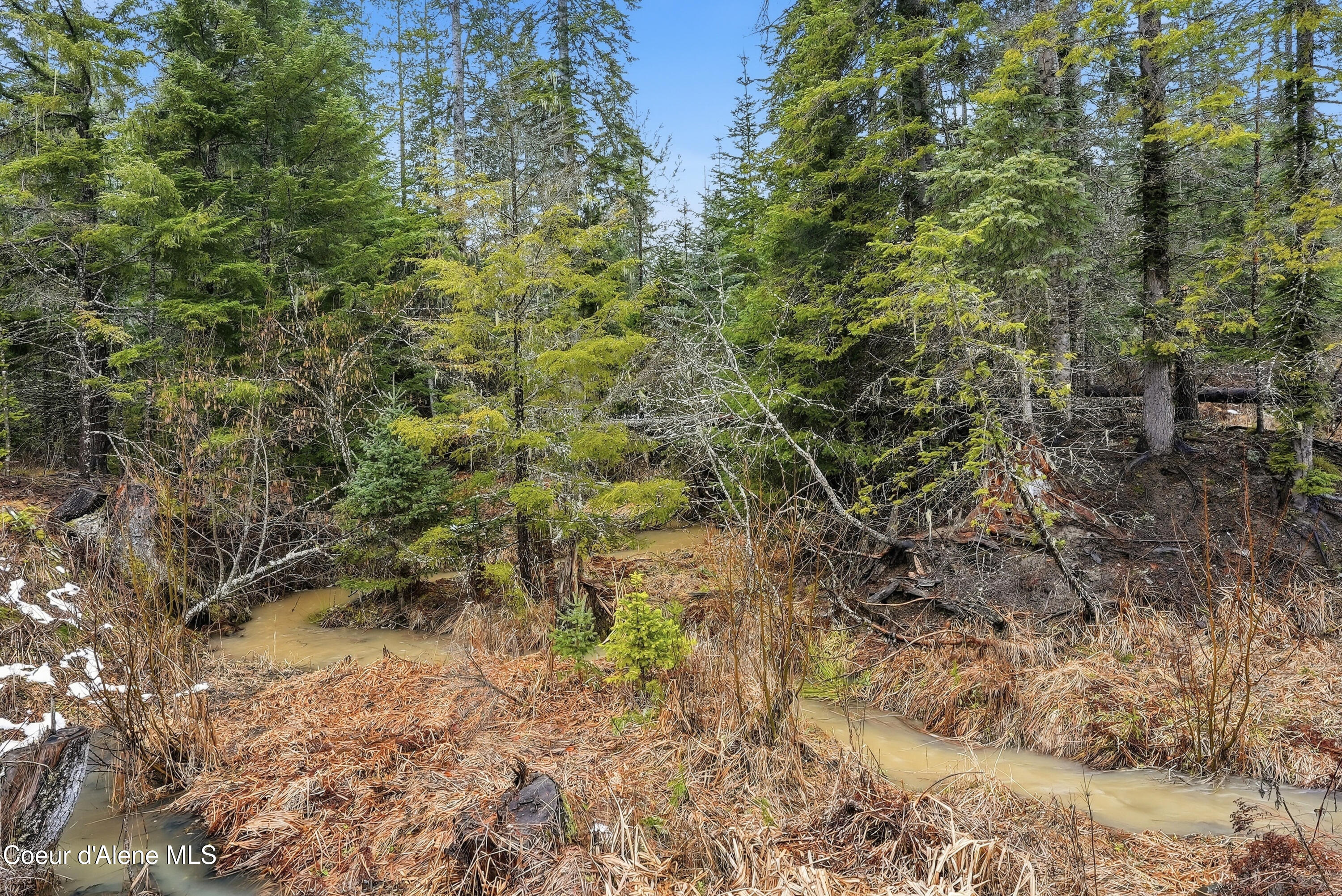 1428 West Elkhorn Meadows Road Fernwood, ID 83830 - Photo 27 of 33 Inside-Media-Elkhorn-24