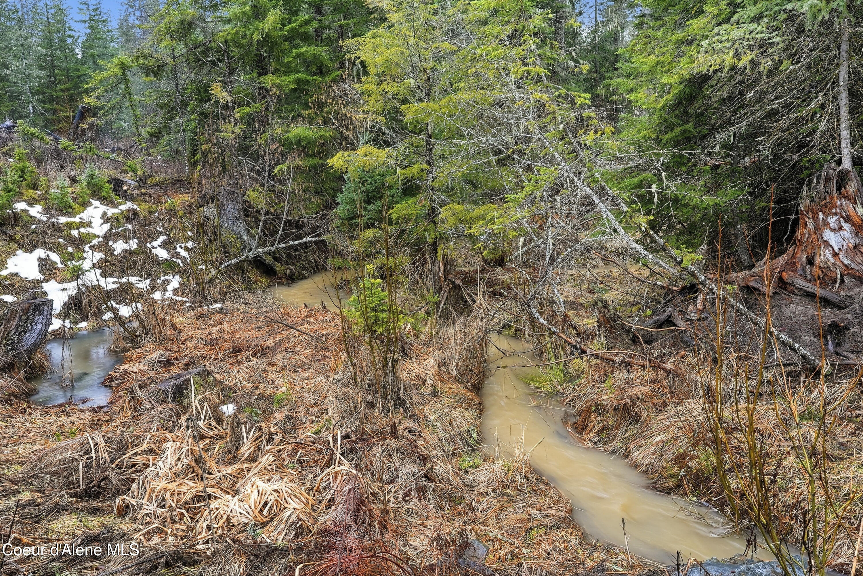 1428 West Elkhorn Meadows Road Fernwood, ID 83830 - Photo 28 of 33 Inside-Media-Elkhorn-25