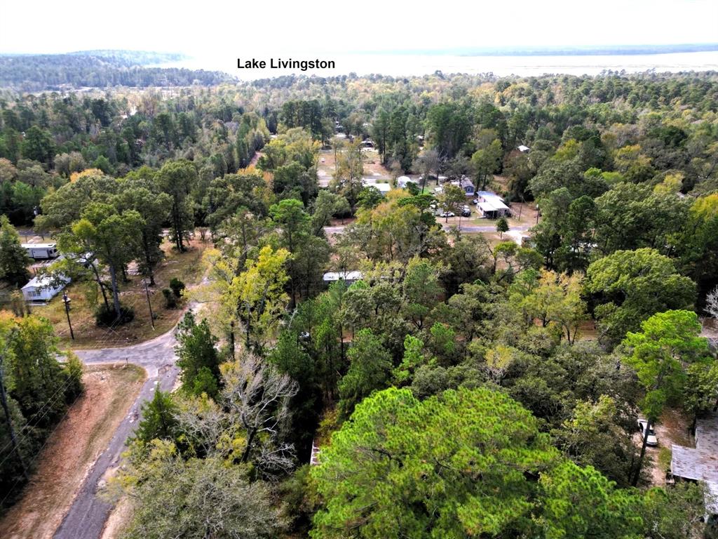 307 Cherokee Drive Trinity, TX 75862 - Photo 2 of 18 an aerial view of multiple house