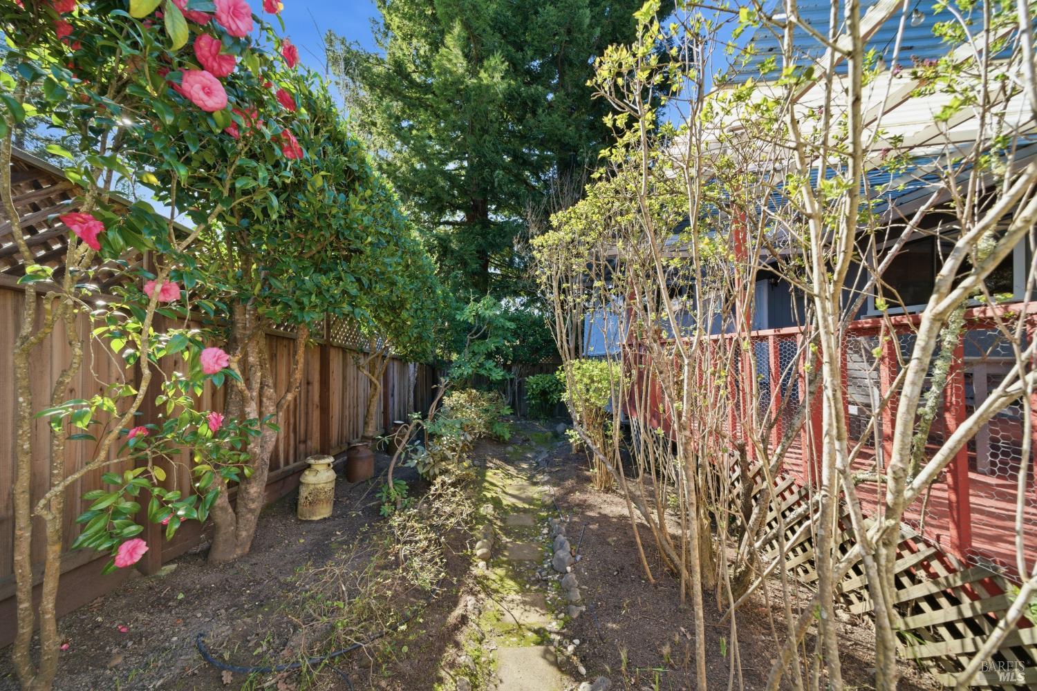 2654 Edison Street Graton, CA 95444 - Photo 34 of 63 a backyard of a house with lots of green space