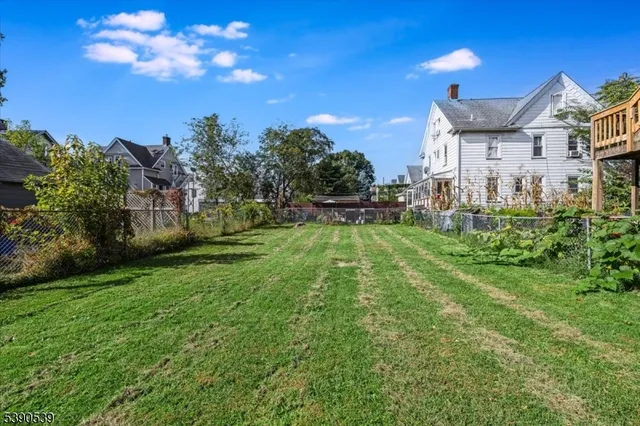 a view of a big yard with plants and a large tree