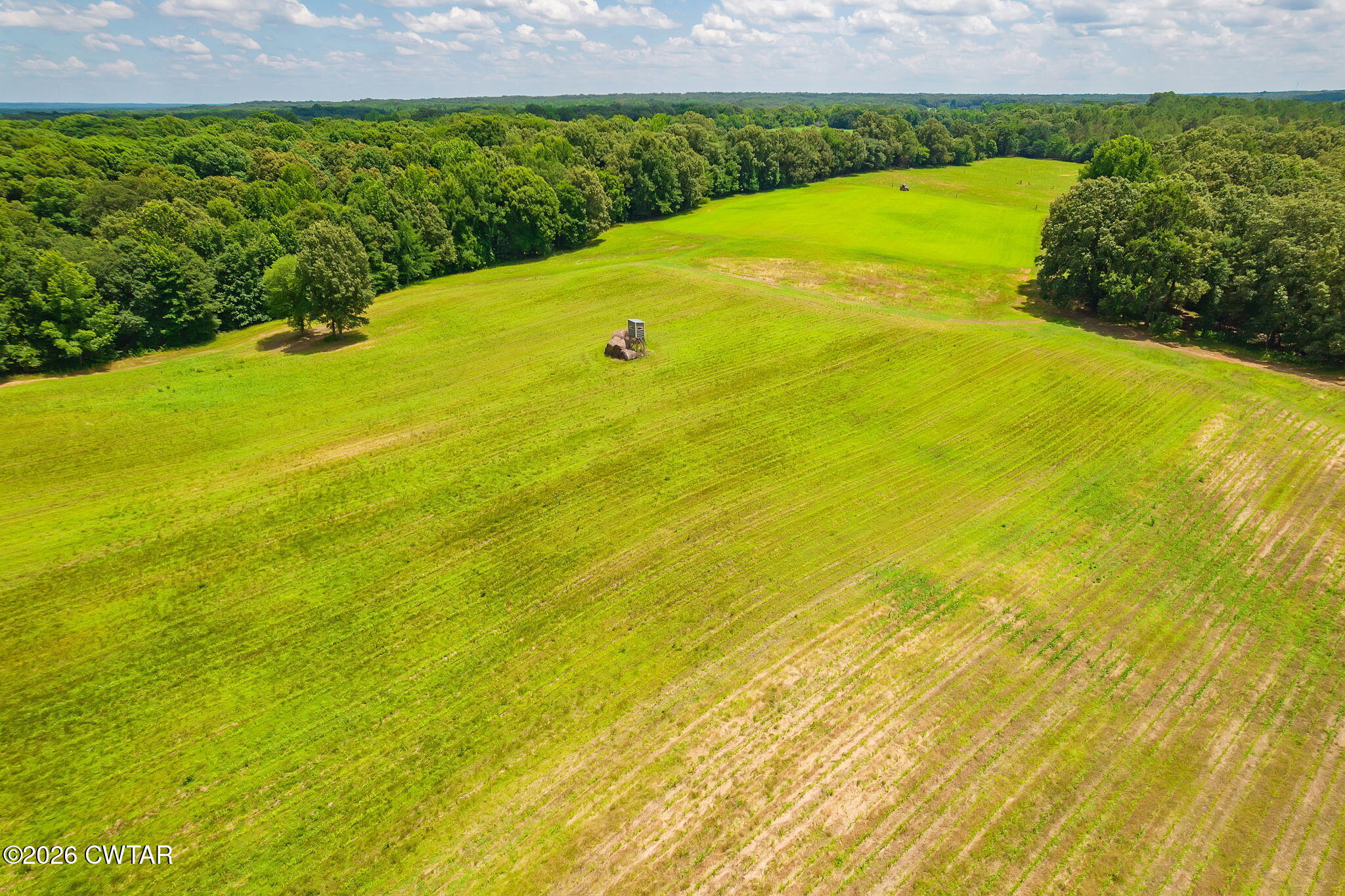 0 Charlie Edmonds Road Whiteville, TN 38075 - Photo 6 of 13 Completed-18 (3)