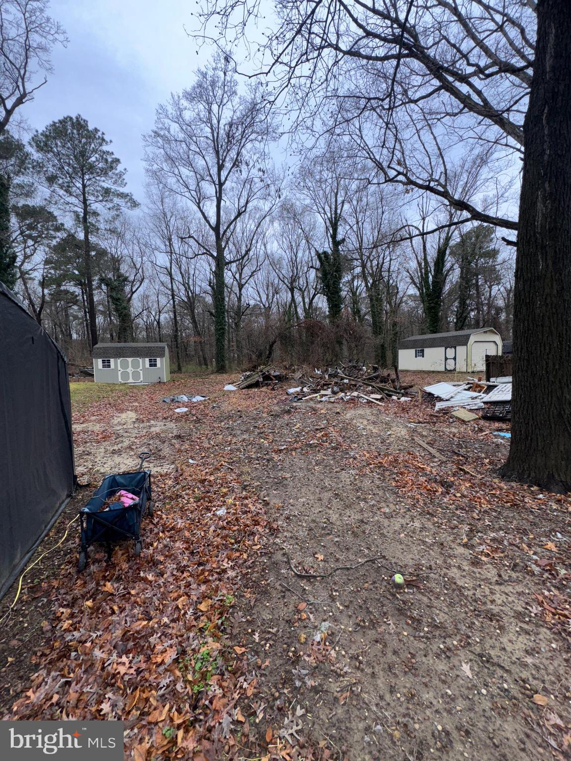 491 Broad Street Houston, DE 19954 - Photo 22 of 22 a view of backyard with green space